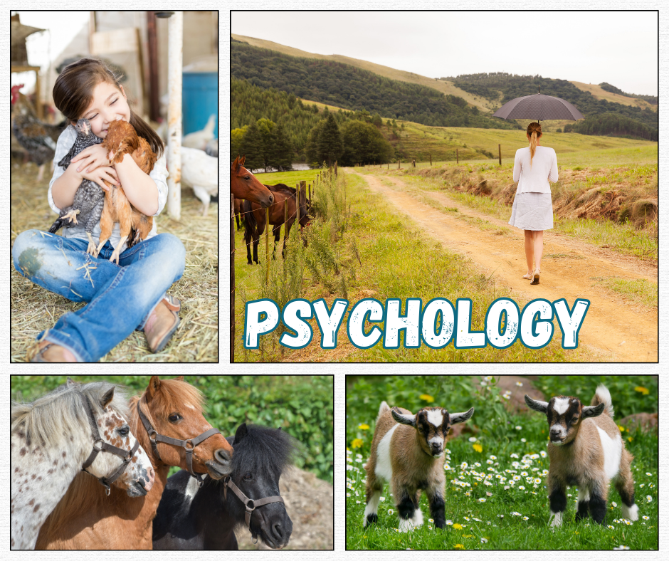 Brown Grey Photo Collage Autumn Vibe Facebook Post