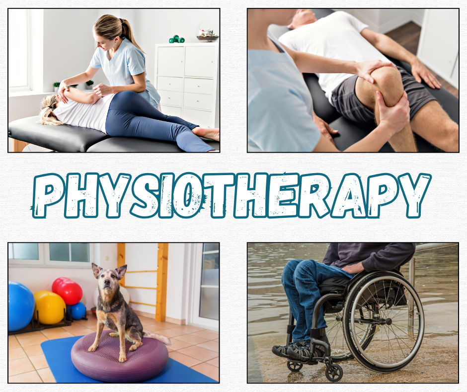 White and Green Modern Physiotherapy Clinic Facebook Post